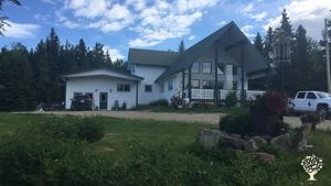 Our home is set on a hill surrounded by a natural forest.