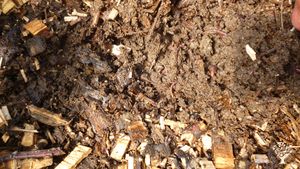 Une ferme agroécologique certifiée AB