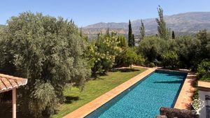 Small finca in Granada province of mostly olive and orange trees. Aiming to become fully organic!