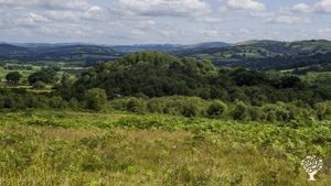 Off-grid Smallholding 70acres pasture and woodland