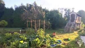 Family home and garden - rural, Orchard, Family farm