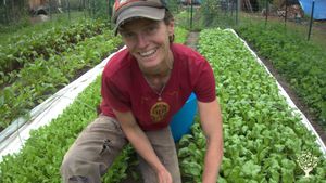 We are an off-grid, small scale homestead farm located in the beautiful Matanuska Valley in Alaska.