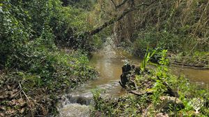 Organic farm in peaceful countryside focused on sustainability, community living, and hands-on learn