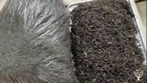 A patron of organic farming and a former tea planter has a beautiful bungalow with a nice homestead