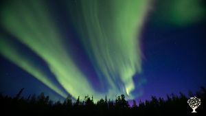 Sourdough Bakery, Farm Store, Market Garden, Women Lead