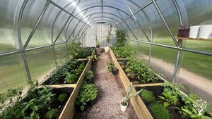 Small-scale crop production with care for nature and animals.