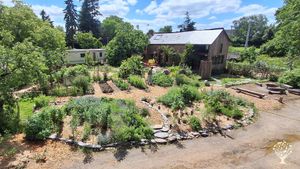 Plantes médicinales et jardin forêt nourricier : planter, cultiver, transformer, savourer, partager