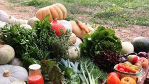 Maraichage diversifié