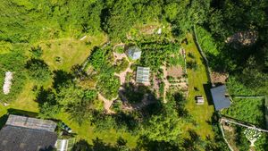Biodynamic permacultural farm with silent retreats & digital detox