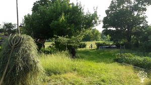 Summer time