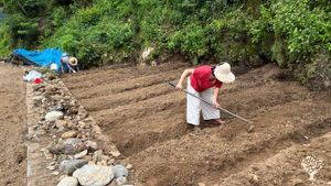 <GW109>가축과 숲 사람이 더불어 18세기 농업 구현  / Livestock, Forests, and People Together Realizing 18th-Century Ag
