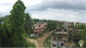 In Biratnagar, the farm focuses mainly on fruit farming, especially mango and litchi, along with oth