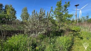 Co-operative community, food forest, organic vegetables