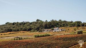 A quinta.
La ferme.
The farm.