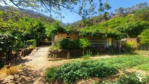 Alternative co-operative community,  Eco farming, Family farm.