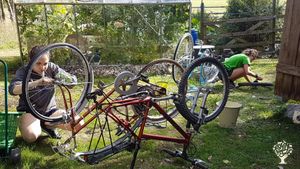 Family home and garden - rural