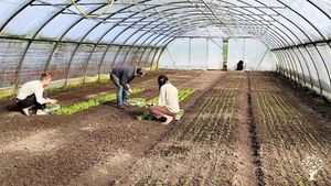 Bioland Gemüsegärtnerei in Norddeutschland