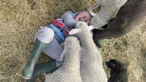 Our son Hunter with his lambs