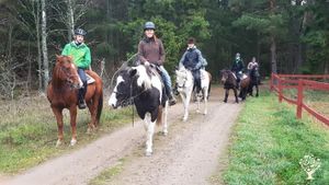 Family farm, Community farm.