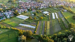 Nos 8 hectares vus du ciel.