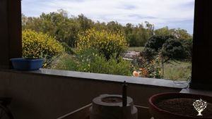 Azienda agricola non certificata