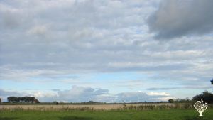 Market Garden, Flower Garden Farm, Family farm