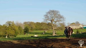 Ferme biologique certifiée AB et Biocohérence