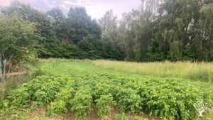 NGO Family farm association practicing biodynamic agriculture