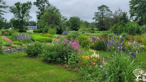 Educational area, Agritourism Destination, Market Garden, Farm, Family farm, Seed Saving, Herbalism