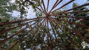Food forest in the high desert