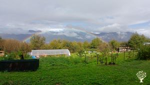 L'inverno porta dei lavori di taglio legna per scaldarsi e lavorare il legno per delle sculture.