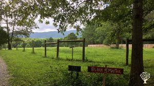 Turn off the shared Lane to private drive and SW facing views. Winter is to mend fences and trails