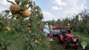Biologisch fruitbedrijf