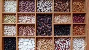 Bohnenvielfalt aus unserem Garten, Feuer-, Stangen-, Busch- und Stockbohnen.