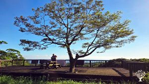 <JJ129>예술과 치유의 농장 / A Sanctuary of Art and Healing