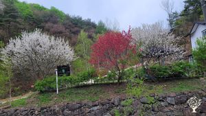 <GW128>잠시 내려놓고 초록색 쉼표를 찍고 가는 곳 / A Place to Pause, Put Things Down, and Leave a Green Comma