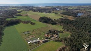 Maraichage diversifié, petits fruits et vergers