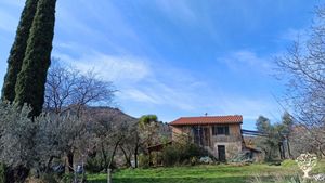 Educational Centre, Eco Retreat, Vegetable production, Olive trees
