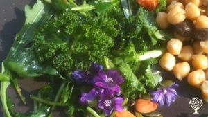 Coopérative potagère bio et urbaine