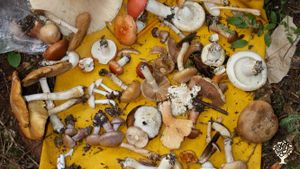 800 acre project that combines organic produce farming, site maintenance and forest life