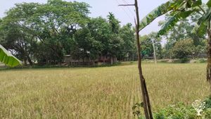 Mr. Noor M Babul, a high school teacher as well as an organic farmer. The farm is 140 km away from t