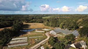 Microferme en maraîchage sur sol vivant et élevage régénératif, Ecovillage Demain en main (Bretagne)