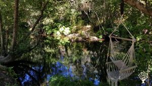 Riverside farm in the abundant Mondego valley