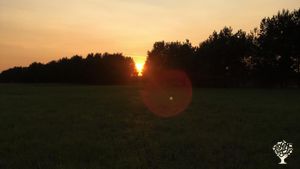 Gorgeous sunsets from the west field...