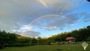 Small homestead style farm, working towards self-sufficiency and creating a well-rounded skillset