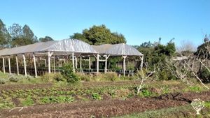 Hortifruti, agroindústria, cervejaria, turismo rural,  zona rural de Porto Alegre