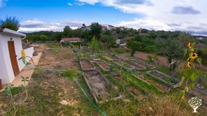 Eco Retreat, Vineyard, Family farm