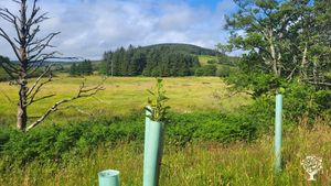 Remote Smallholding & Horse-riding Adventures in West Scotland