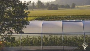 Maraîchage bio sur petite surface et poulailler mobile