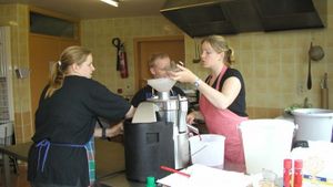 Village community, bio-dynamic farm, social insertion